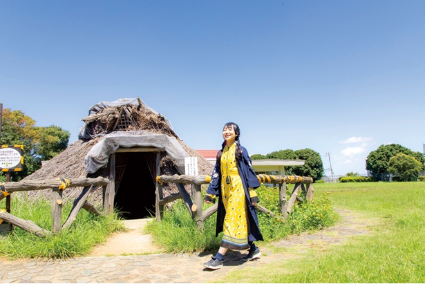 3棟の竪穴住居は老朽化のため2019年春までに建て替えることが決まっている。約2か月の工期中は、取り壊しから完成するまでの過程を見学できる