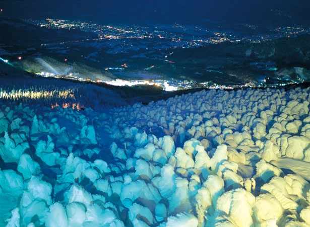 氷雪におおわれた樹木が怪物のように見えることから、スノーモンスターとも称される樹氷は、2月が最盛期。輝く造形美を楽しもう