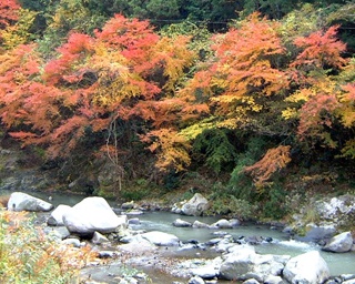 穴場紅葉スポット！世界遺産を有する玉川峡へ行こう