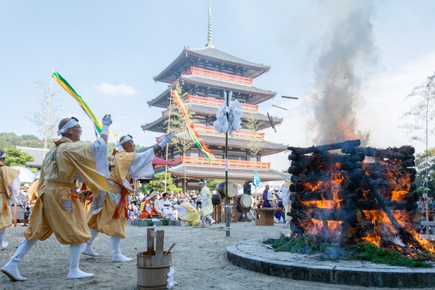 【写真を見る】紫燈大護摩祈祷で盛大に護摩が焚かれる