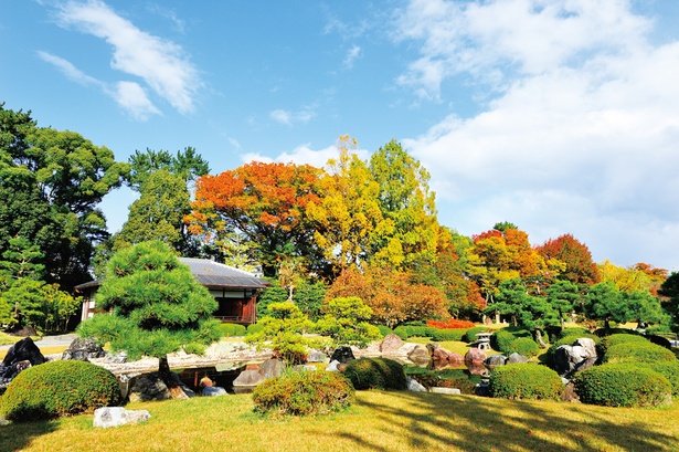 画像1 4 秋の二条城で 3つの庭園を巡りながら色とりどりの紅葉鑑賞を ウォーカープラス