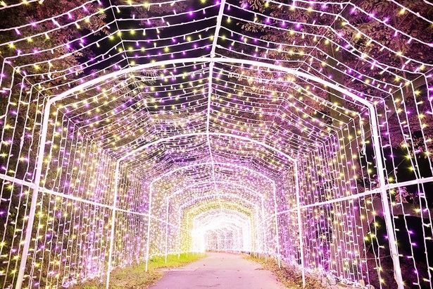 光のトンネル