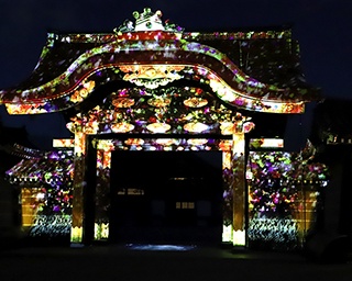 京都・二条城で秋季特別ライトアップ　ネイキッド「FLOWERS」が関西初開催！