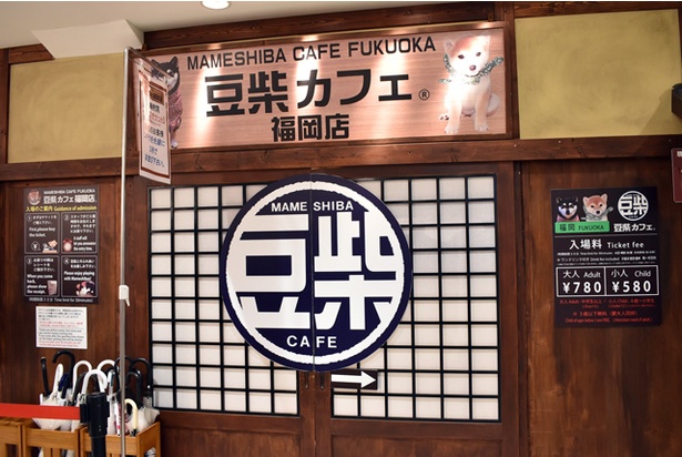 福岡パルコ5階にある豆柴カフェ。和風レトロな雰囲気も素敵