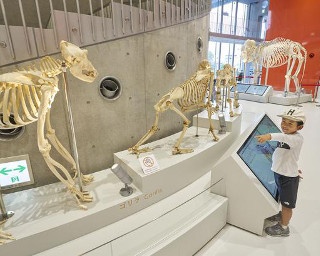 福岡・南公園｢福岡市動物園｣の新しい顔！エントランス施設が誕生