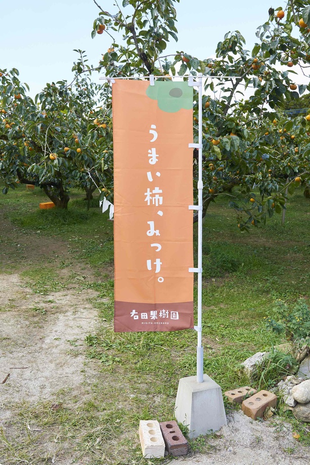 ｢右田果樹園｣。柿を描いたオレンジの幟が目印