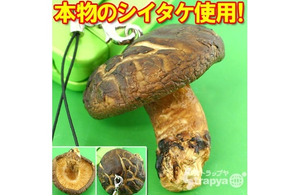 【画像】これ、サンプルじゃなくて本物なんです！