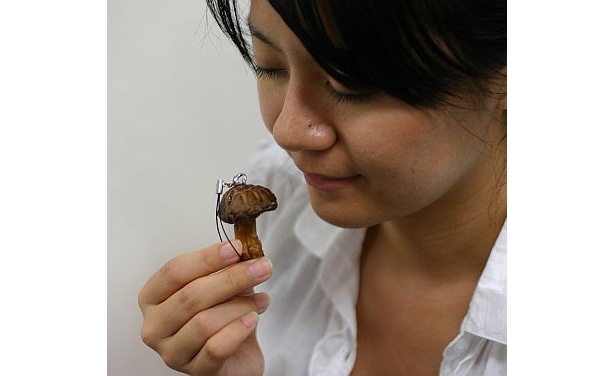 思う存分匂いを嗅ぐも良し…