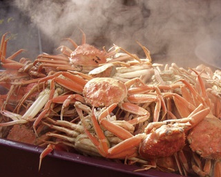 石川県加賀市でカニ解禁！とれたてカニに舌鼓「食と器の祭典＆食い初めカニまつり・楽市楽座」開催