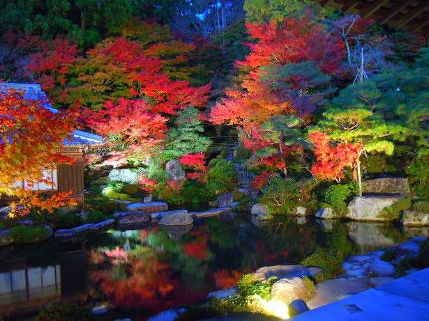 日本の紅葉百選 湖東三山 百済寺の紅葉が見頃 ウォーカープラス