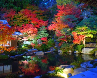 日本の紅葉百選！湖東三山 百済寺の紅葉が見頃