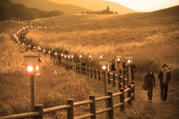 黄金色のススキを照らすライトアップイベント 奈良県で 曽爾高原山灯り 開催中 ウォーカープラス