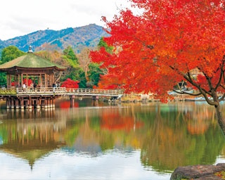 奈良公園には紅葉絶景がたくさん！真紅の公園をゆったりお散歩しよう