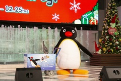 サンシャインシティのクリスマススペシャルライブに登場したピングーと、サンシャイン水族館のケープペンギン