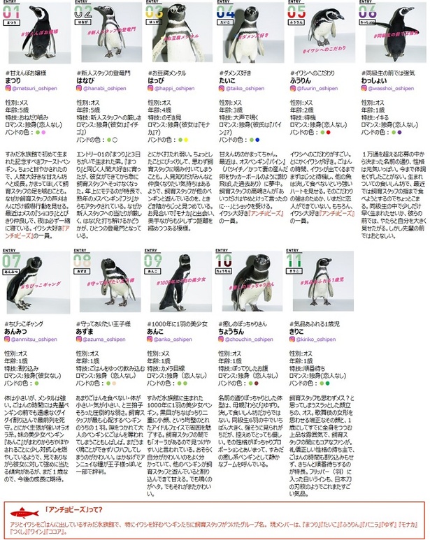 「LOVE推しペン超選挙」にエントリーしたすみだ水族館のペンギン11羽