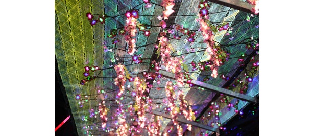 LEDの花棚も美しい