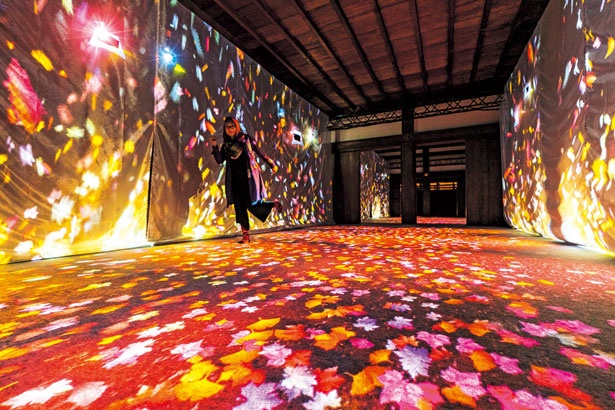 歩いた所に紅葉した葉が舞い散り、空間全体に映像が広がるインタラクションの小径「落ち葉の小径」/秋季特別ライトアップBY NAKED2018ー京都・二条城ー
