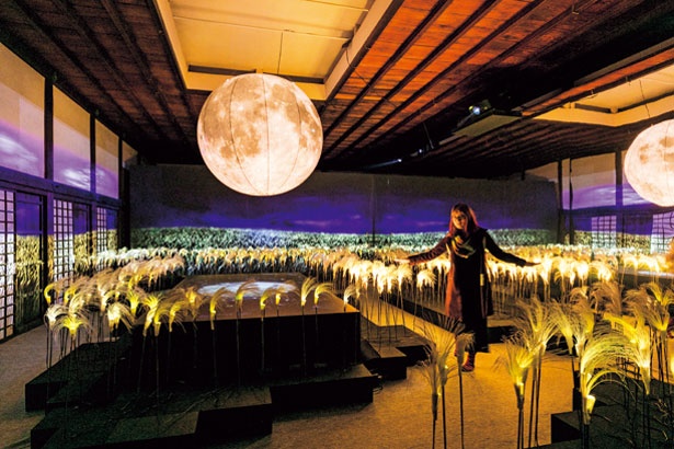 ]直径1.5mの月のオブジェが灯りを照らす「花薄(はなすすき)」/秋季特別ライトアップBY NAKED2018ー京都・二条城ー