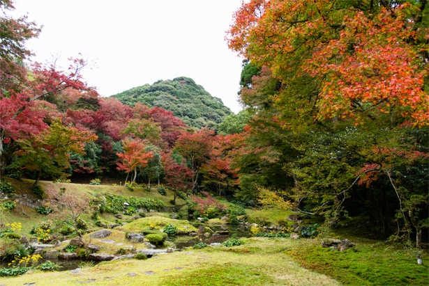 ｢本坊庭園｣。｢愛宕山｣を借景とした見事なロケーションに紅葉がマッチ