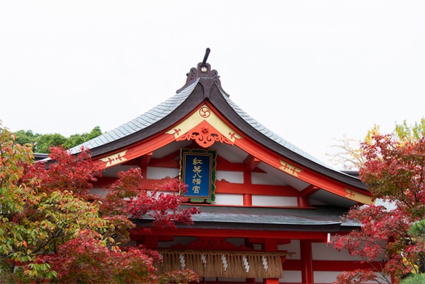 鮮やかな本殿は、この時季よりいっそう華やかな雰囲気