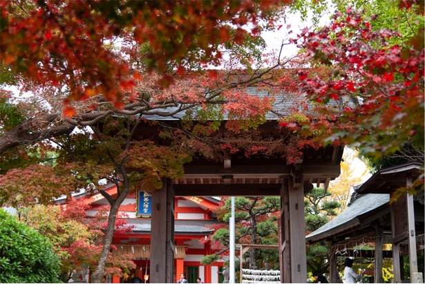 ｢紅葉八幡宮｣。地下鉄藤崎駅から徒歩約7分とアクセスも良い