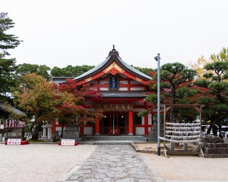【福岡・紅葉情報】11月24日(土)・25日(日)は｢もみじ祭り｣を開催！｢紅葉八幡宮｣