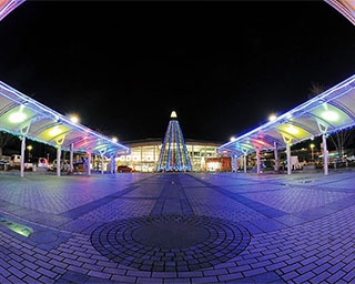 眼前に広がる幻想的な光景！岡山県・井原駅前広場で「第15回ミナクルネ」開催中