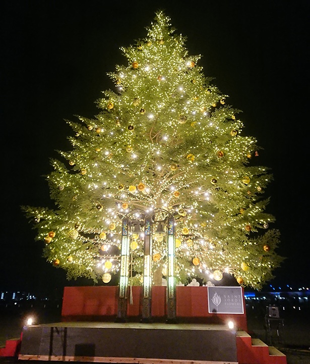 高さ10mのクリスマスツリーが幻想的に輝き、ロマンチックな雰囲気