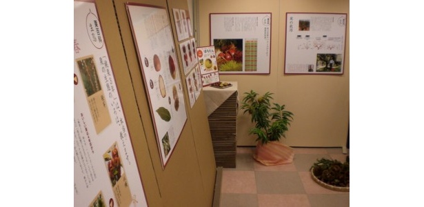 パネル展示で恵那栗について解説もあり