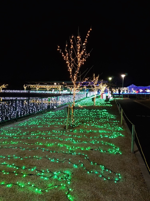 メイン会場となる天理駅西側公園
