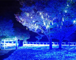 山梨県北杜市・ハイジの村で｢光のページェント｣開催