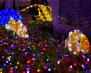静岡県焼津市でイルミイベント｢YAIZU Ocean Dream Illumination｣が開催中