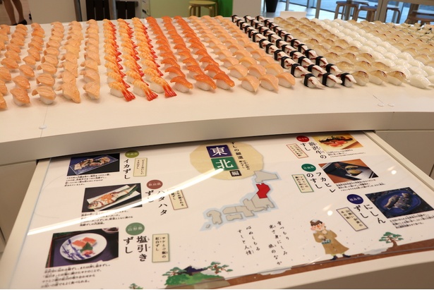 整然と並ぶ食品サンプルに目を奪われるだけでなく、日本全国各地の寿司文化についても多く学べる