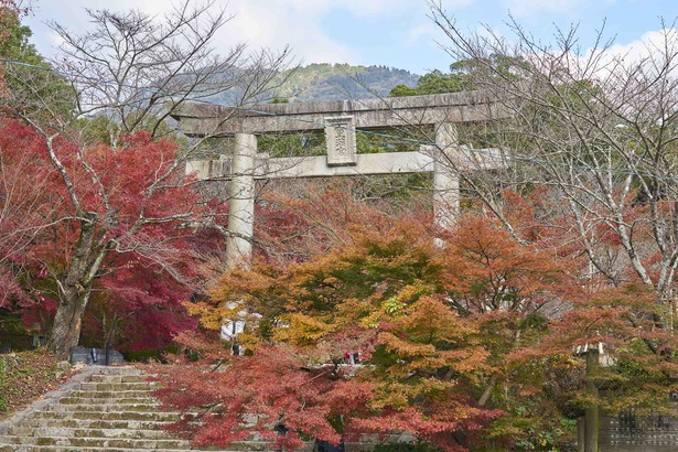 ｢竈門神社｣。｢宝満山｣の麓に鎮座し、秋には見事な紅葉風景へと変わる