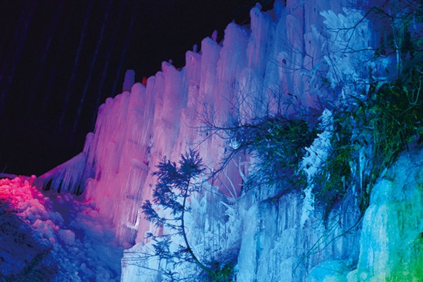 ライトアップは、氷瀑が溶けるまで毎日実施。色とりどりの明かりが氷を照らし、美しい