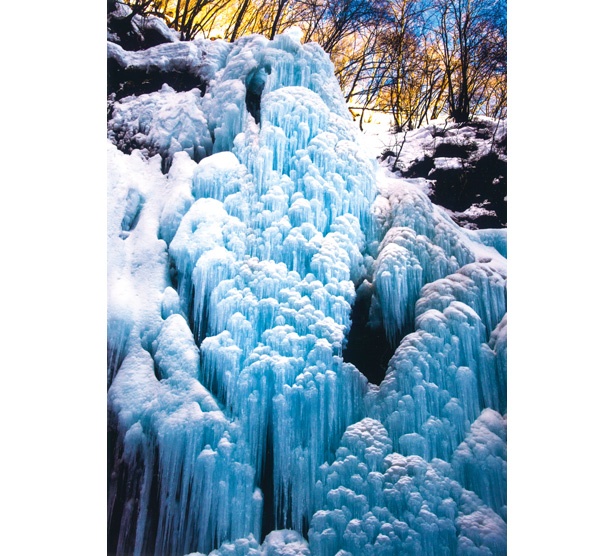 【写真を見る】高さ30メートルの山の斜面が青白く輝く氷におおわれた、幻想的な景色