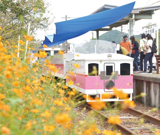 【写真を見る】高千穂あまてらす鉄道 / 車する列車の名は「すさのお号/あまてらす号」