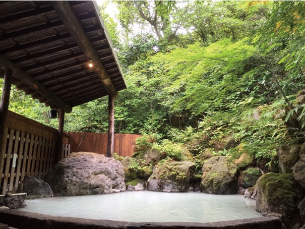 【写真を見る】夢幻の里 春夏秋冬 / 山の青々とした緑に男女別の露天風呂と5つの貸切り湯が点在する
