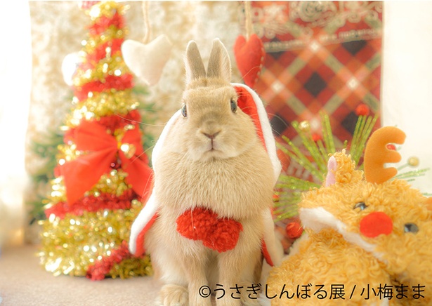 「うさぎしんぼる展」出展作品の一例