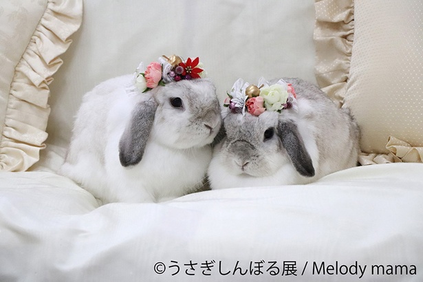 「うさぎしんぼる展」出展作品の一例