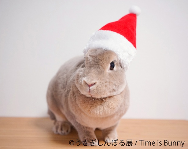 「うさぎしんぼる展」出展作品の一例