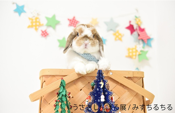 「うさぎしんぼる展」出展作品の一例
