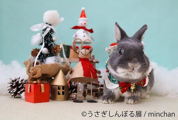 【写真を見る】今回は「冬」をテーマにしたうさぎのシンボルを250点以上展示