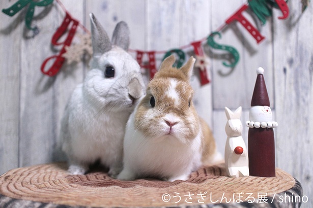 「うさぎしんぼる展」出展作品の一例