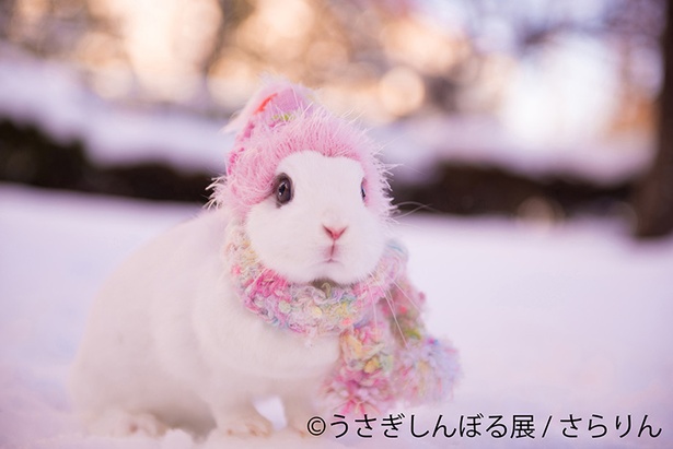 「うさぎしんぼる展」出展作品の一例