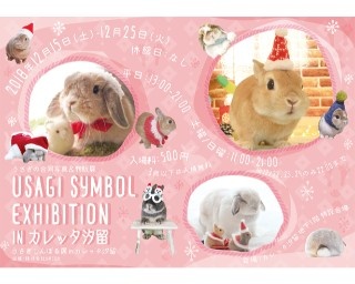 作品数は過去最大！「うさぎしんぼる展 in カレッタ汐留」開催