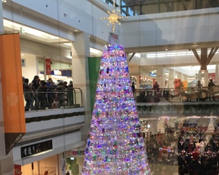 集まれ、4,000本！巨大ペットボトルクリスマスツリーづくりイベントを開催