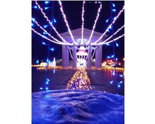 林中央公園を彩るイルミネーション！滋賀県東近江市「第15回 2018 Lighting Bell in NOTOGAWA」