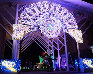 公園一帯をライトアップ！富山県・砺波チューリップ公園でイルミイベント開催中