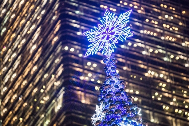 セントラルのスタチュー・スクエアに飾られている象徴的なクリスマスツリー
